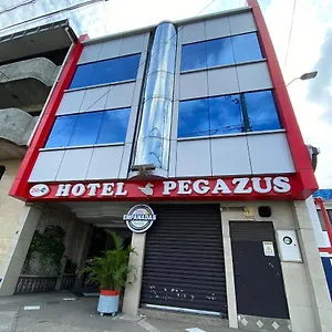  Pensión Pegazus
